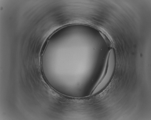 X0000089670996200707121219