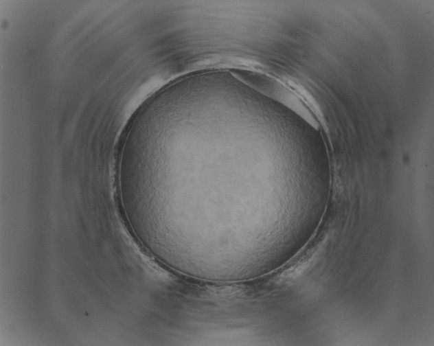 X0000089670997200707121219