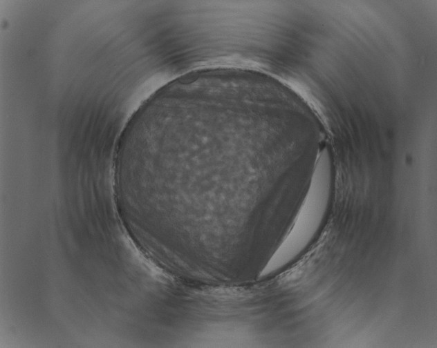 X0000089670998200707121219