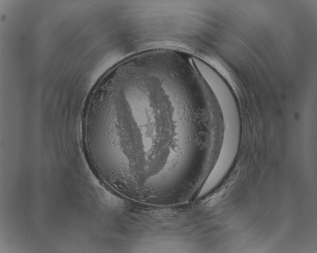 X0000089670999200707121219