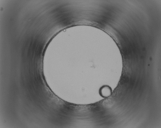 X0000089671000200707121219