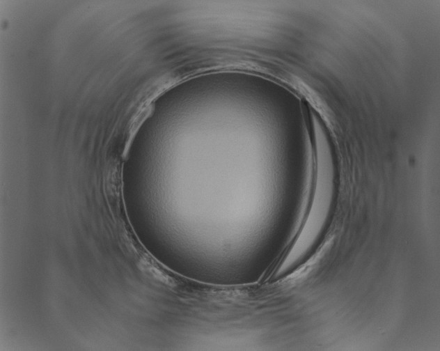 X0000089671001200707121219