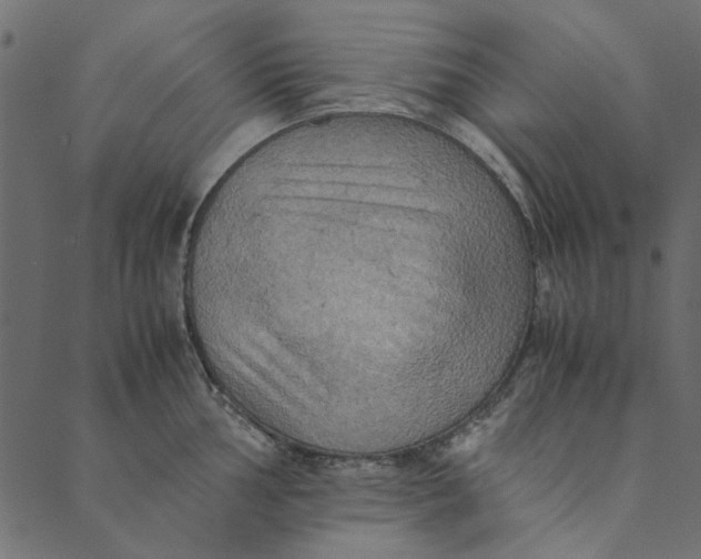 X0000089671002200707121219