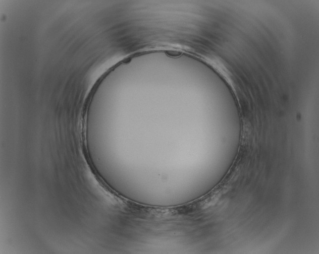 X0000089671003200707121219