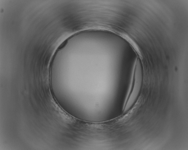 X0000089671004200707121219