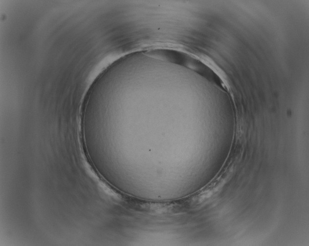 X0000089671005200707121219