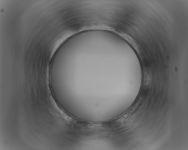 X0000089671006200707121219