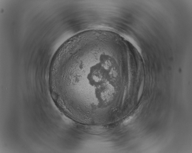 X0000089671007200707121219