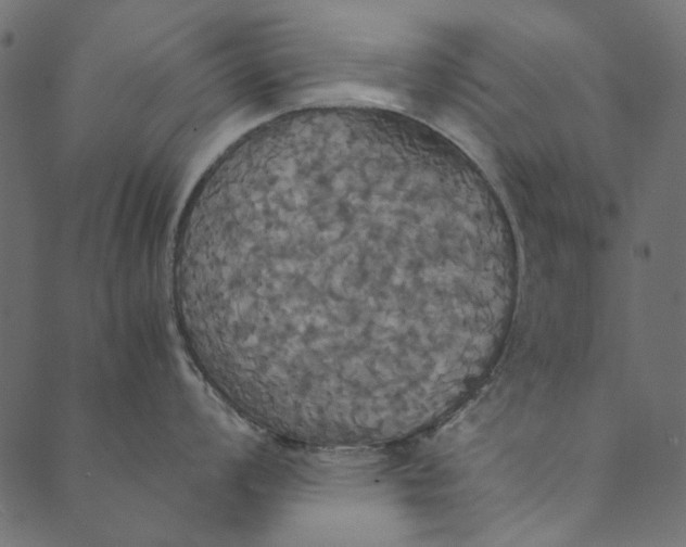 X0000089671008200707121219