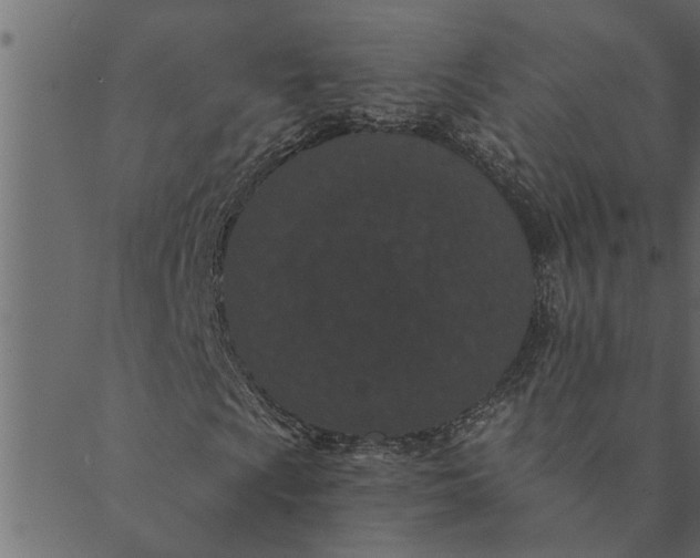 X0000089671009200707121218