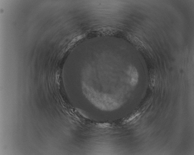 X0000089671010200707121218