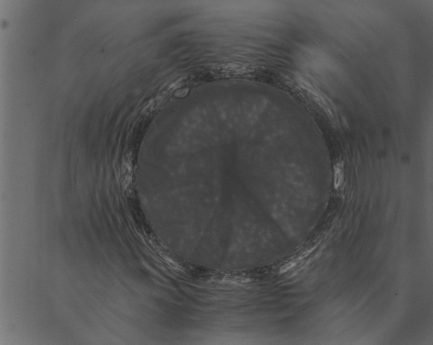 X0000089671011200707121218