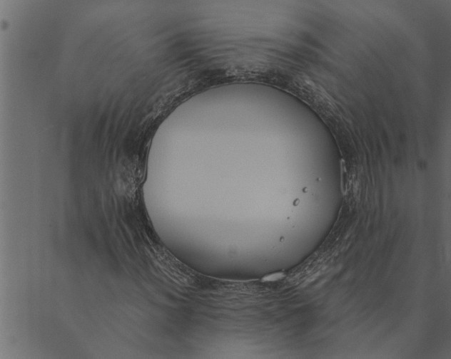 X0000089671012200707121218