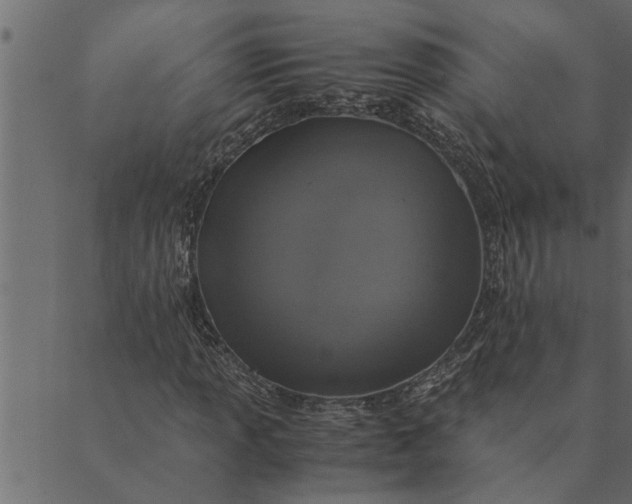 X0000089671013200707121218