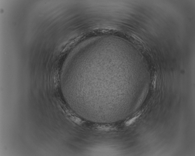 X0000089671014200707121218