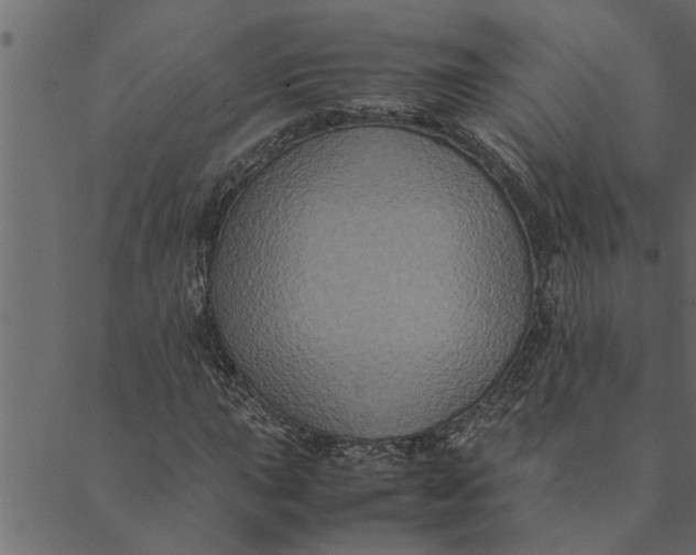 X0000089671015200707121218