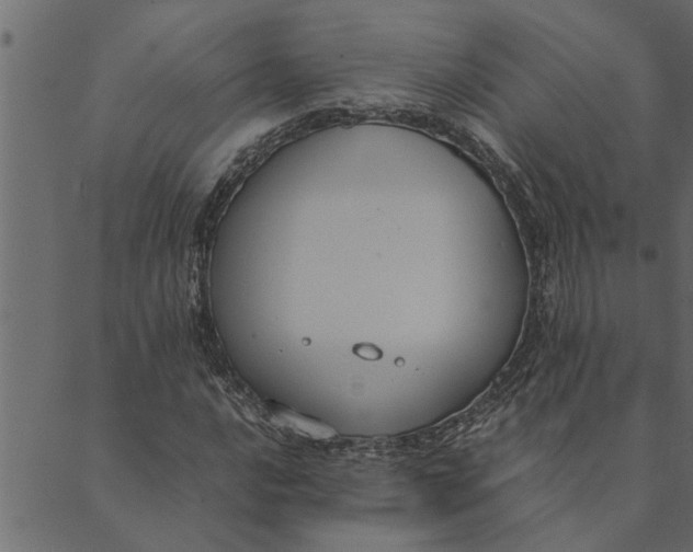 X0000089671016200707121218