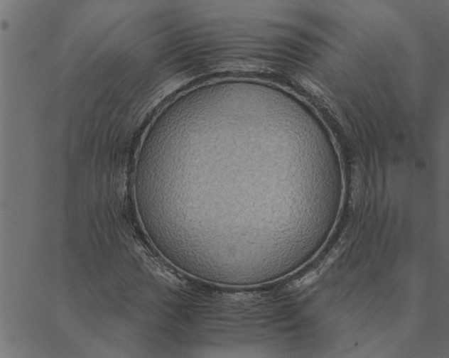 X0000089671017200707121218