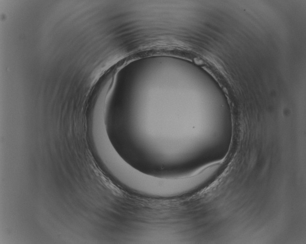 X0000089671018200707121218