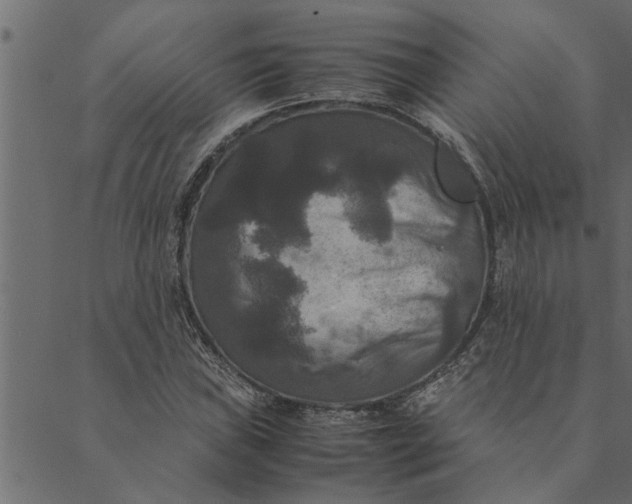 X0000089671019200707121218