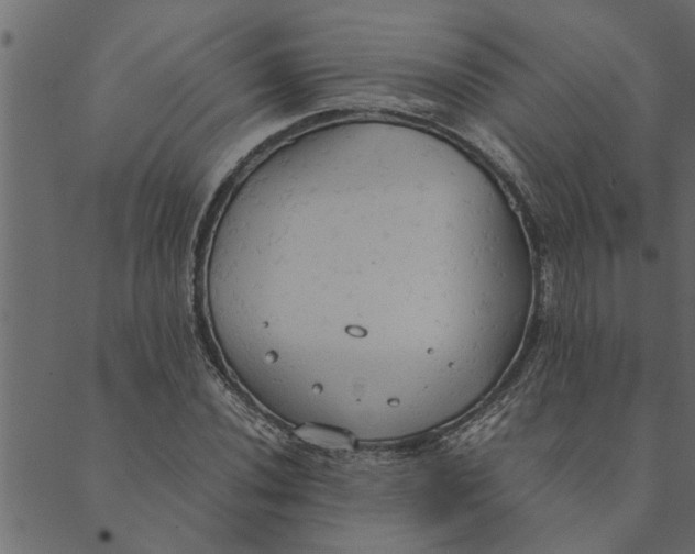 X0000089671020200707121218