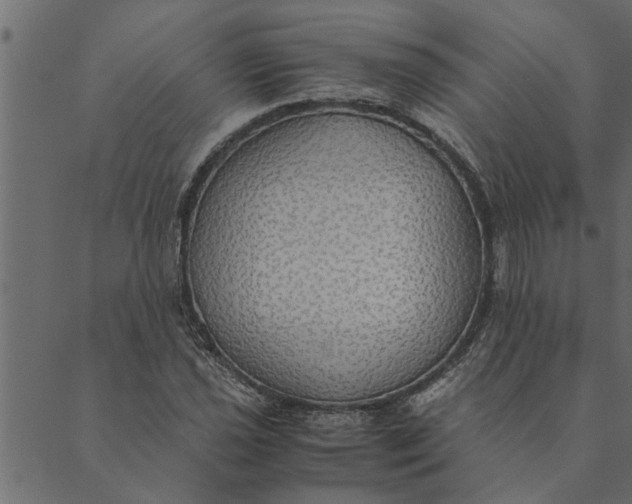 X0000089671021200707121218