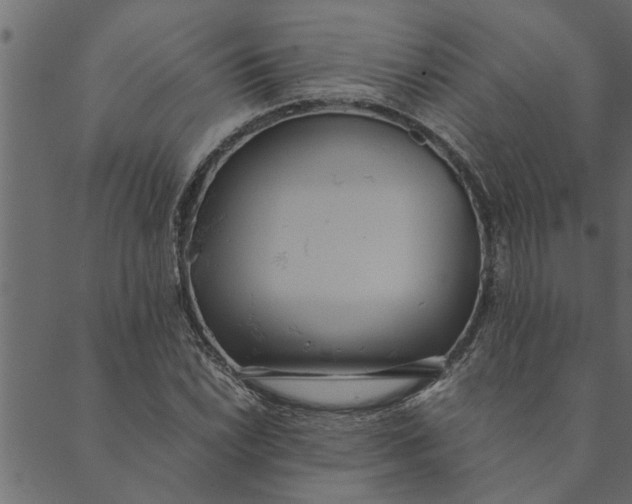 X0000089671022200707121218