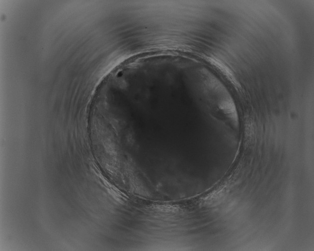 X0000089671023200707121218