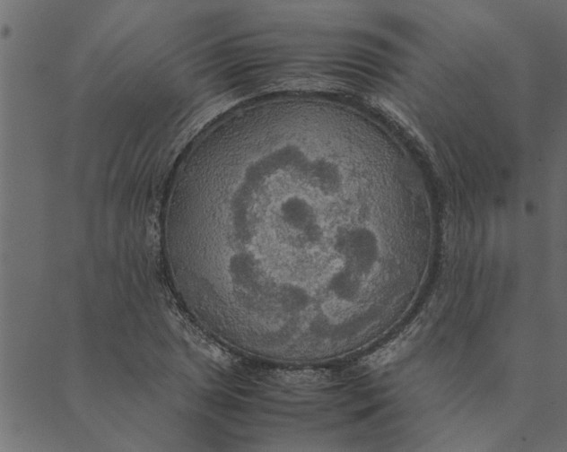 X0000089671025200707121218