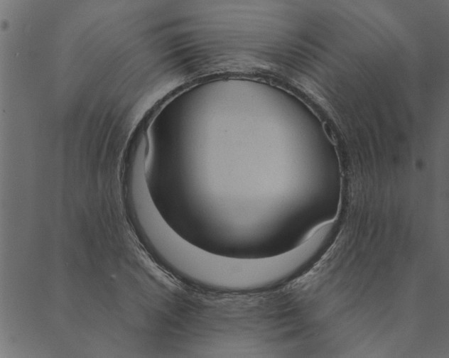 X0000089671026200707121219