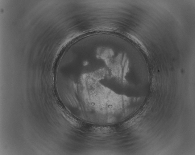 X0000089671027200707121219