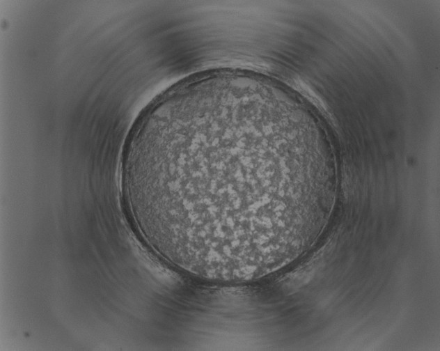 X0000089671028200707121219