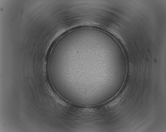 X0000089671029200707121219