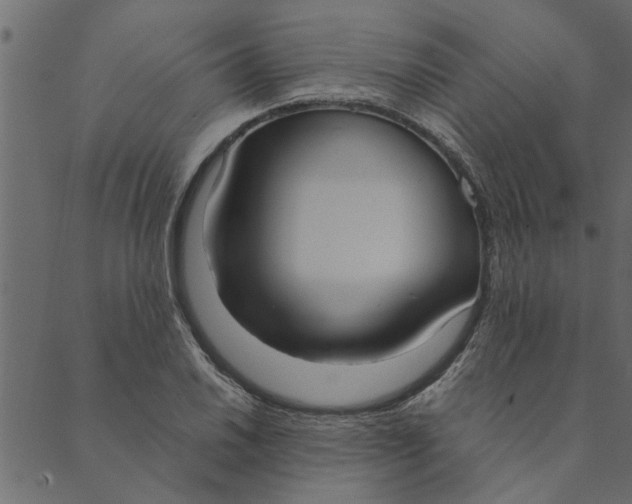 X0000089671030200707121219