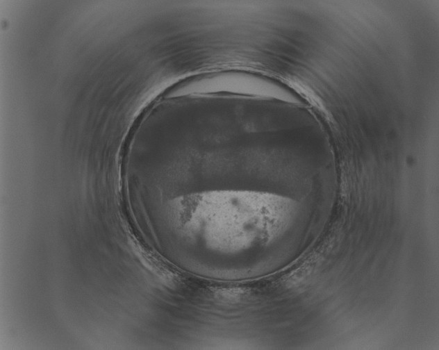 X0000089671031200707121219