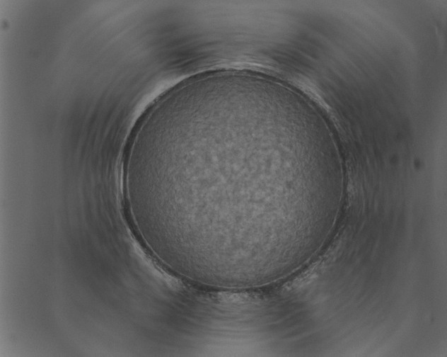 X0000089671032200707121219