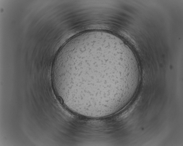 X0000089671033200707121219