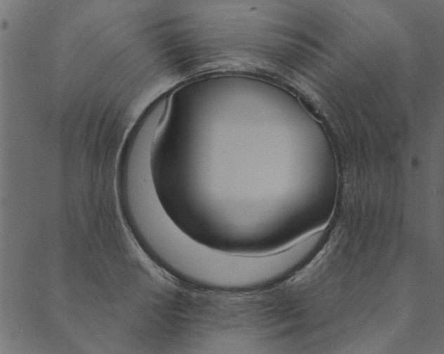 X0000089671034200707121219