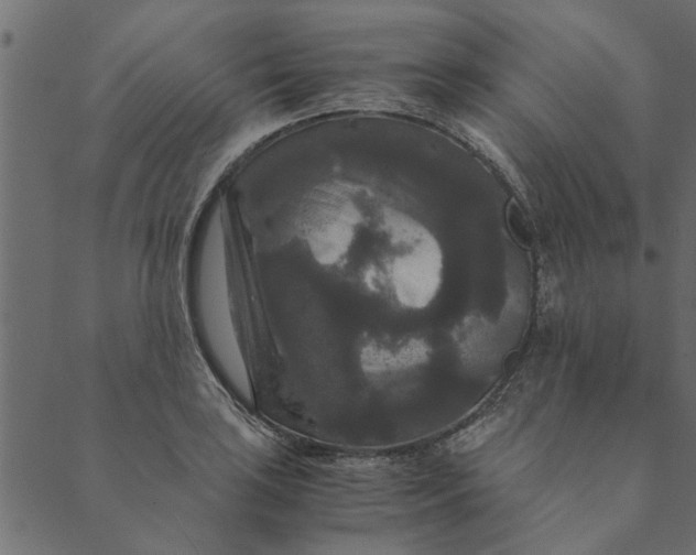 X0000089671035200707121219