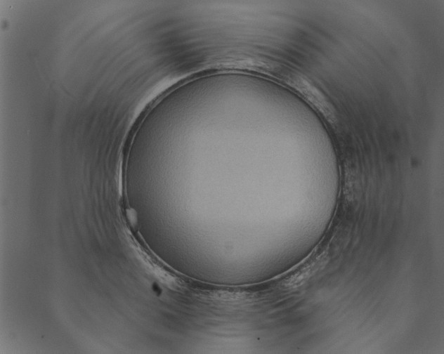 X0000089671036200707121219