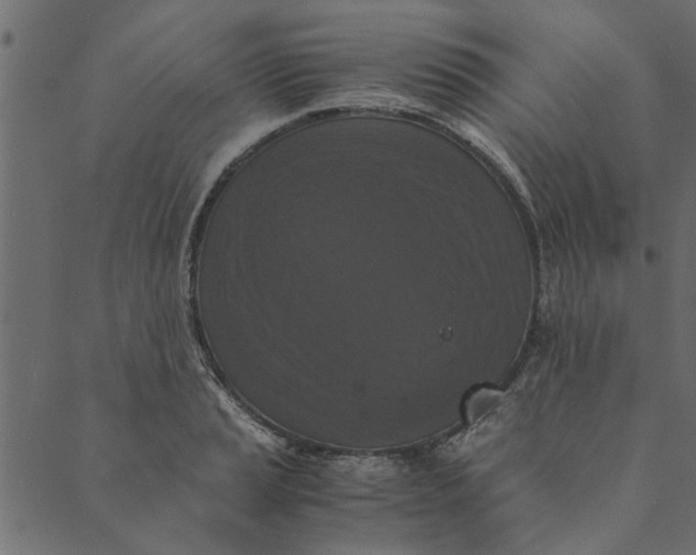 X0000089671037200707121219