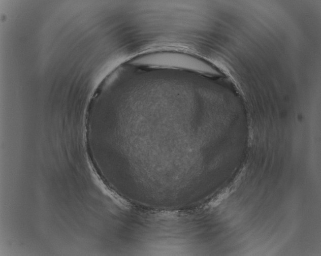 X0000089671038200707121219