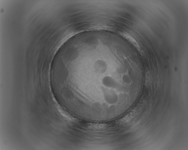 X0000089671039200707121219