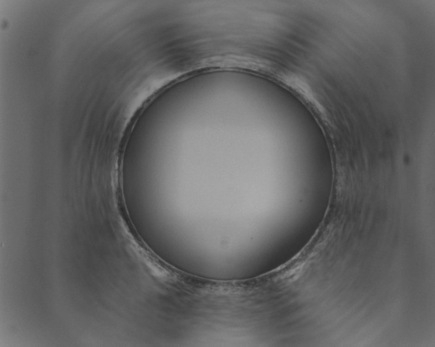 X0000089671040200707121219