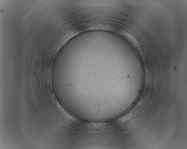 X0000089671041200707121219