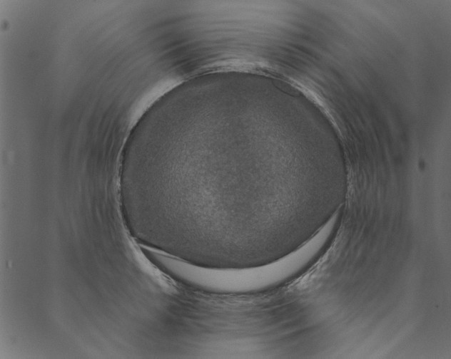 X0000089671042200707121219