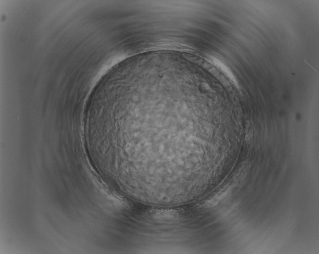 X0000089671043200707121219