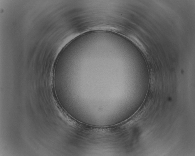 X0000089671044200707121219