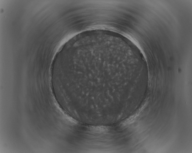 X0000089671045200707121219