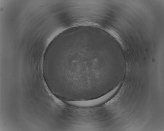 X0000089671046200707121219